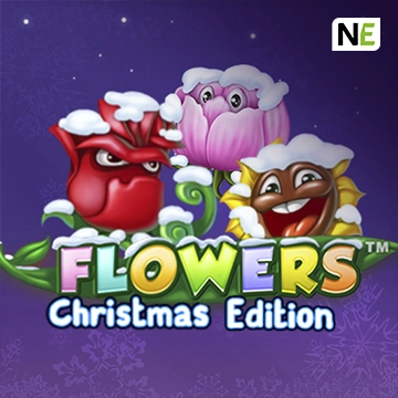 Flowers Christmas Edition - HONEYSLOT777