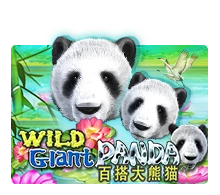 Joker123 : Wild Giant Panda - HONEYSLOT777