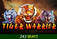 Spadegaming : Tiger Warrior - HONEYSLOT777